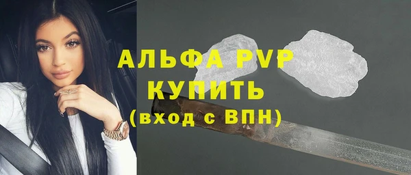 скорость Каменногорск