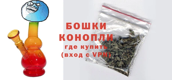 амф Каменка