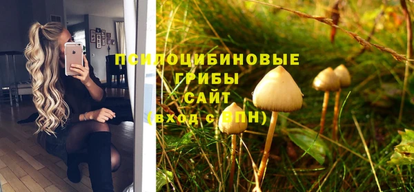 скорость Каменногорск