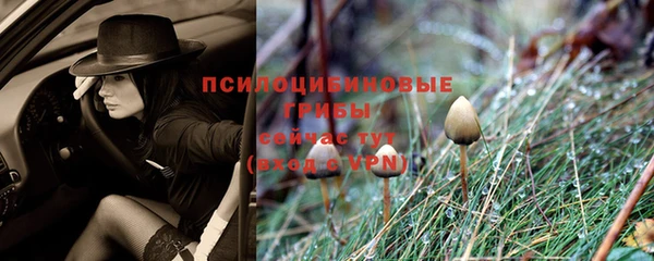 скорость Каменногорск