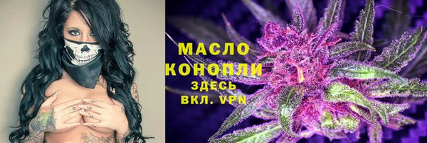 амф Каменка